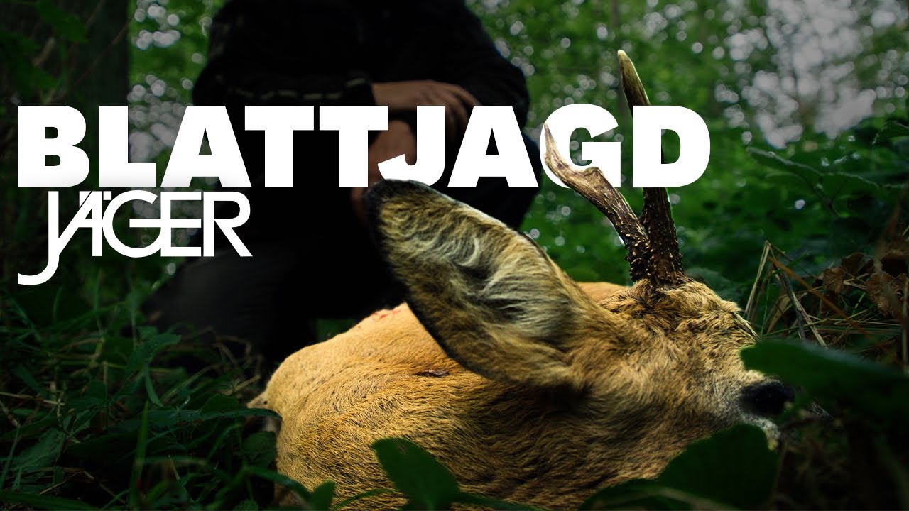 Blattjagd auf Rehb&ouml;cke | J&Auml;GER auf Rehwild