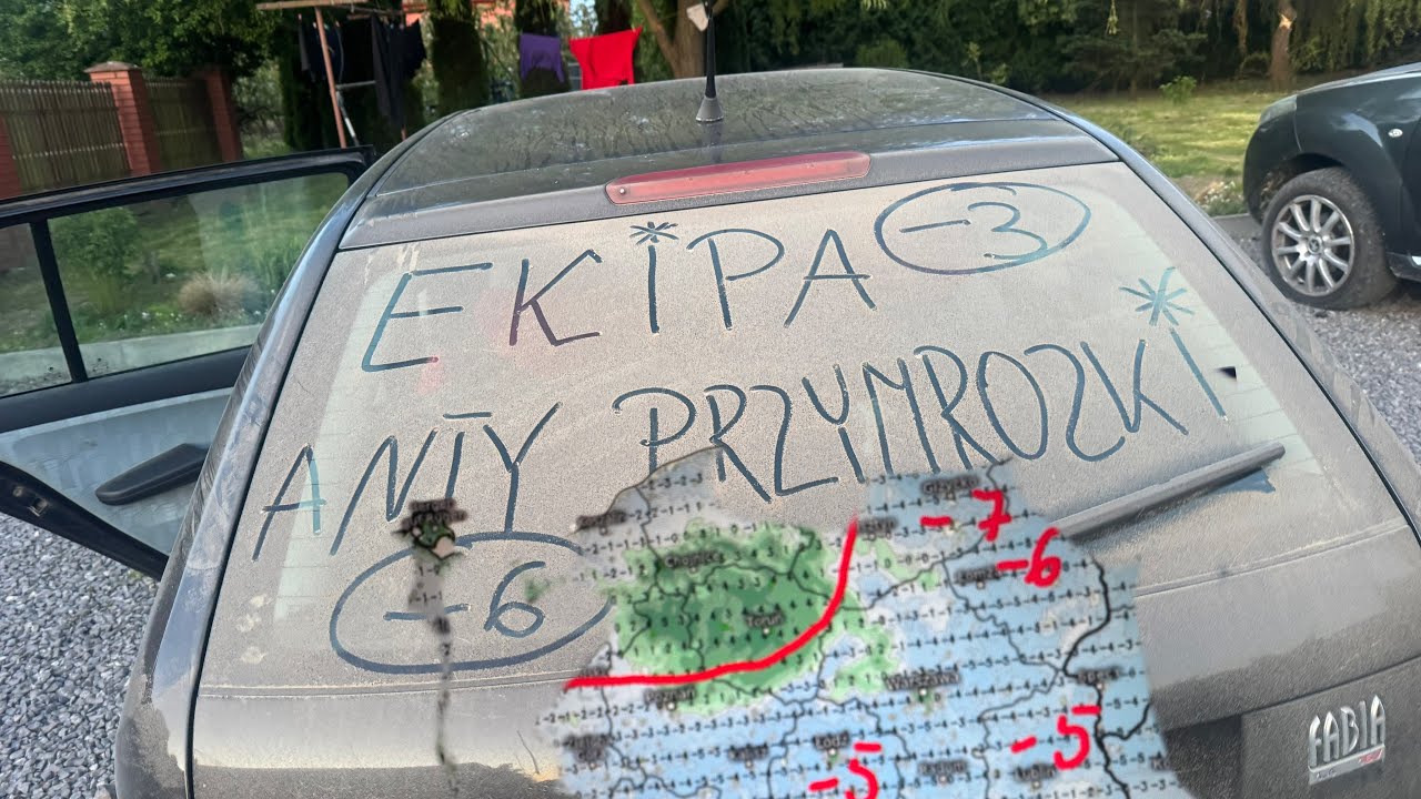 Są straty w malinach ! Dwie noce spania w polu, nie poszły też na marne....