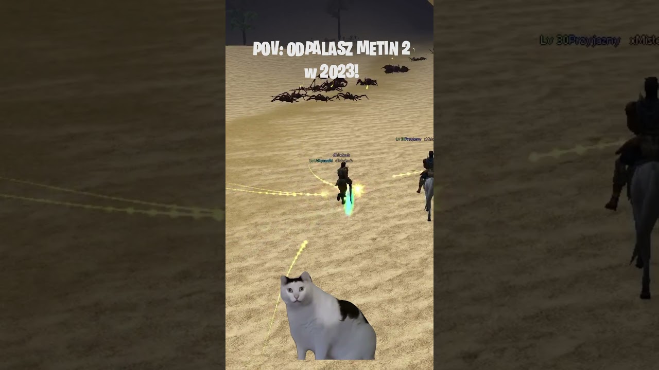 POV: Odpalasz Metin 2 w 2023! 