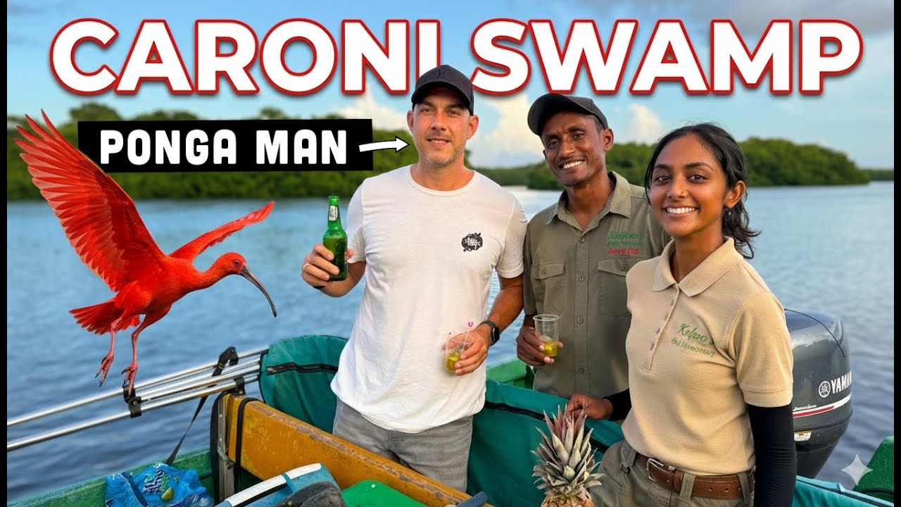 Piwo, ł&oacute;dki i ptaki na bagnach Caroni w Trynidadzie! 🇹🇹