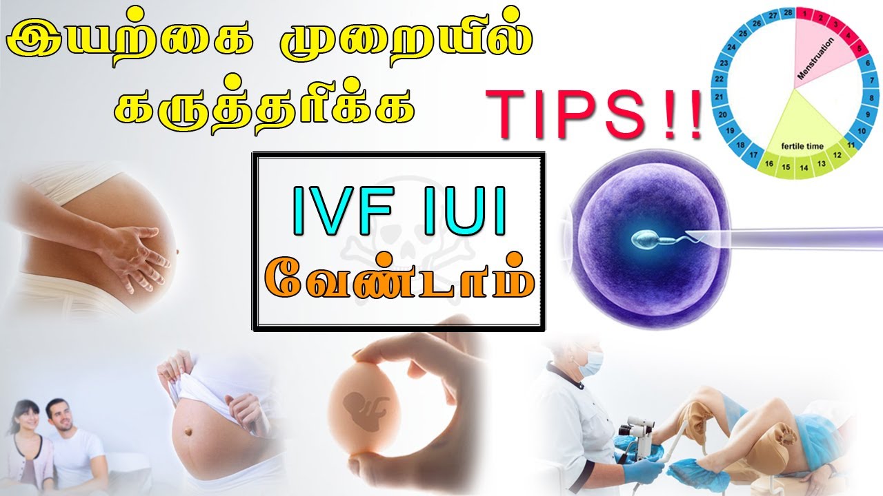 இயற்கை முறையில் கருத்தரிக்க | ஏற்ற நேரம், காலம், இதுதான் | Do This To Conceive In a Natural Way