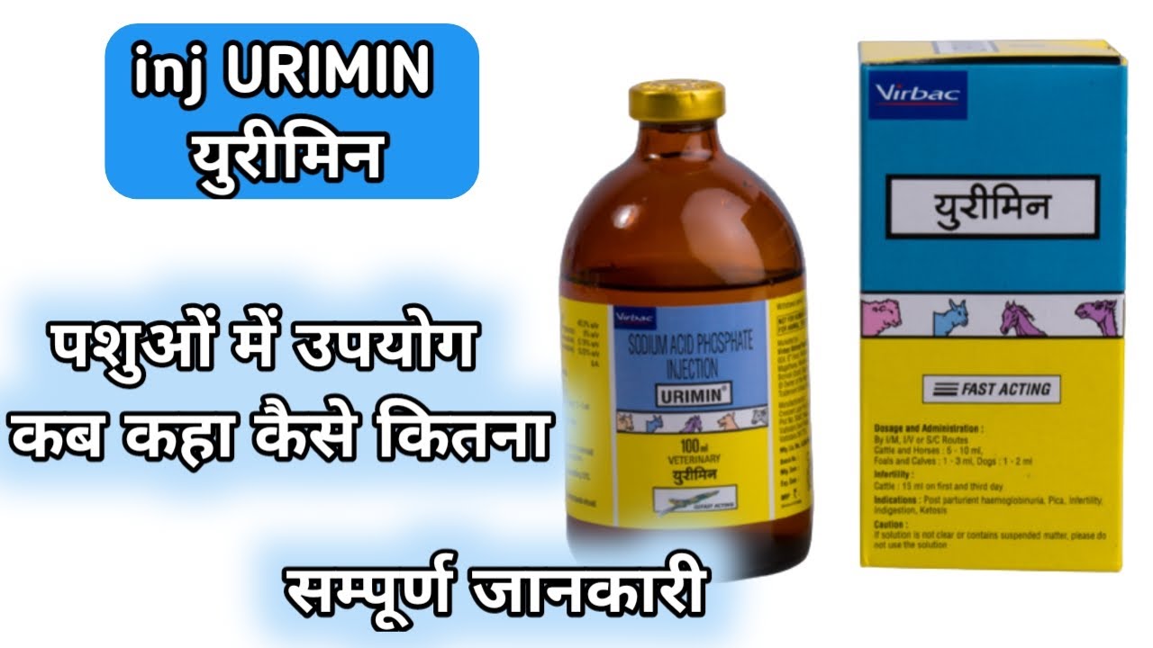 URIMIN inj uses in cattle in hindi !! Inj URIMIN का पशुओं में उपयोग सम्पूर्ण जानकारी!!