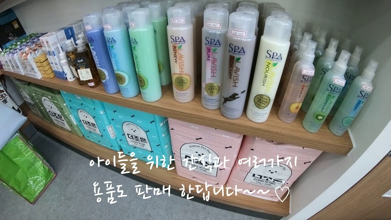 몽스파(애견 스파)