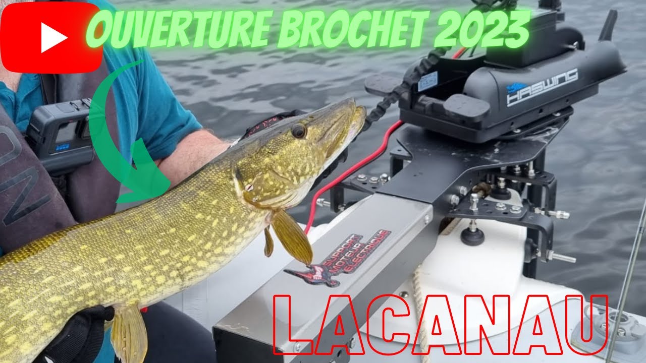 ouverture brochet 2023