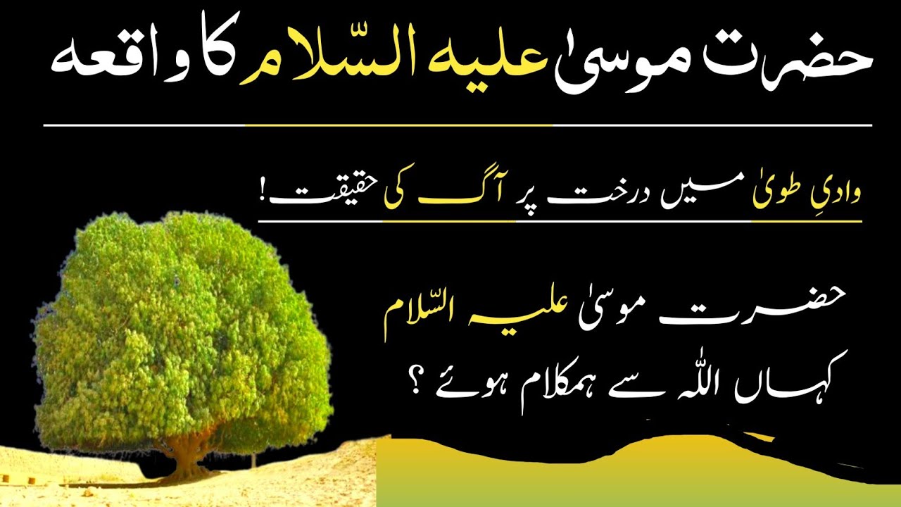 The Truth Of About  The Tree Fire In The Tuwa // Where Did Hazrat Mosaa (PBUH) Speak To ALLAH