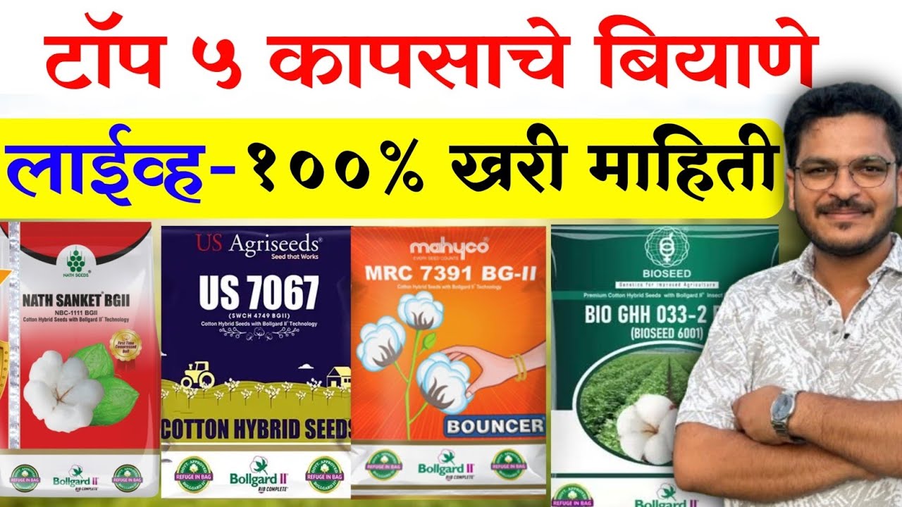 कापसाचे टॉप बियाणे - संकेत,7967,बौउन्सर,033🔥 Live kapasachya Top variety 