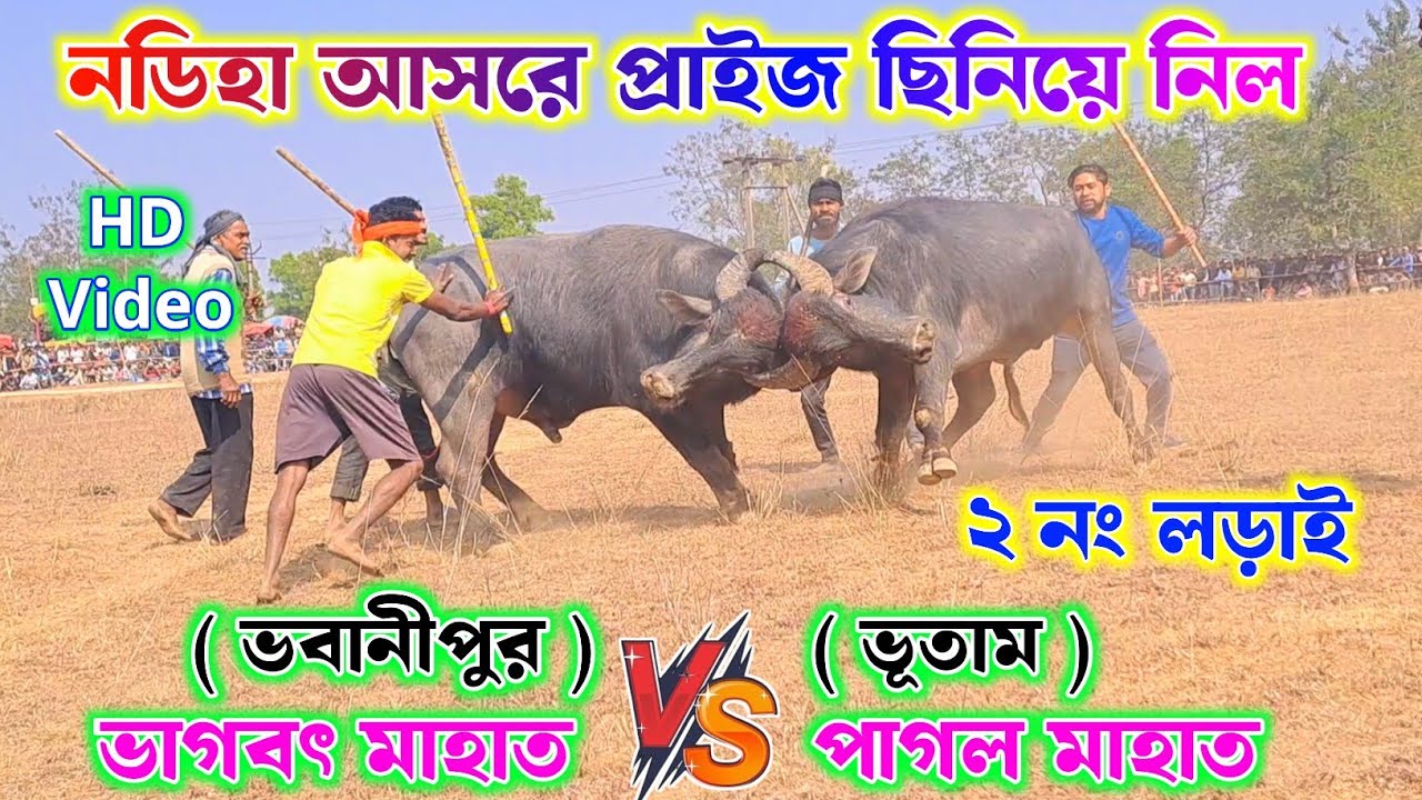 নডিহা বানেশ্বর মাহাতোর আসরে প্রাইজ ছিনিয়ে নিল !! পাগল মাহাত ভূতাম