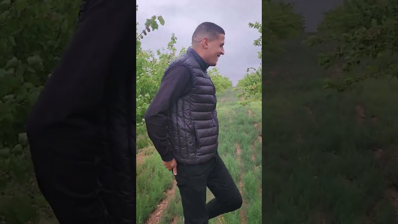 #شاهد انتاج المشمش🌳🌿🍑 في الجزائر نموذج من مزارع ولاية سيدي بلعباس🇩🇿 ( كانينو_ميكادو_بليدي)