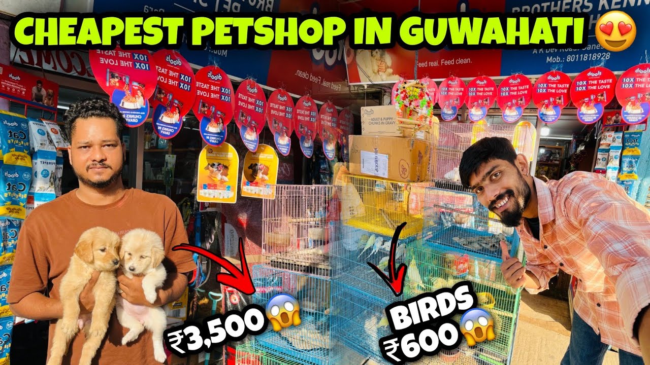 Guwahati Cheapest Pet Shop ! Birds @₹600 & Dogs @ ₹3500 | Dog Market in Guwahati 