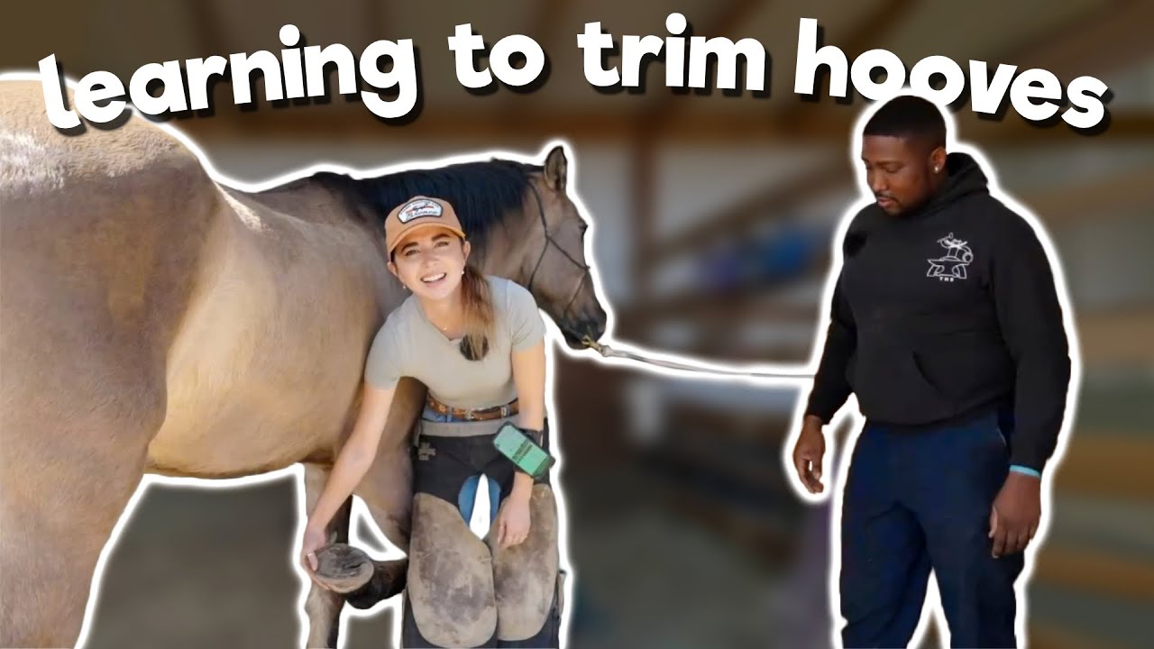 Learning How to Trim My Horse's Feet - 2/26/25