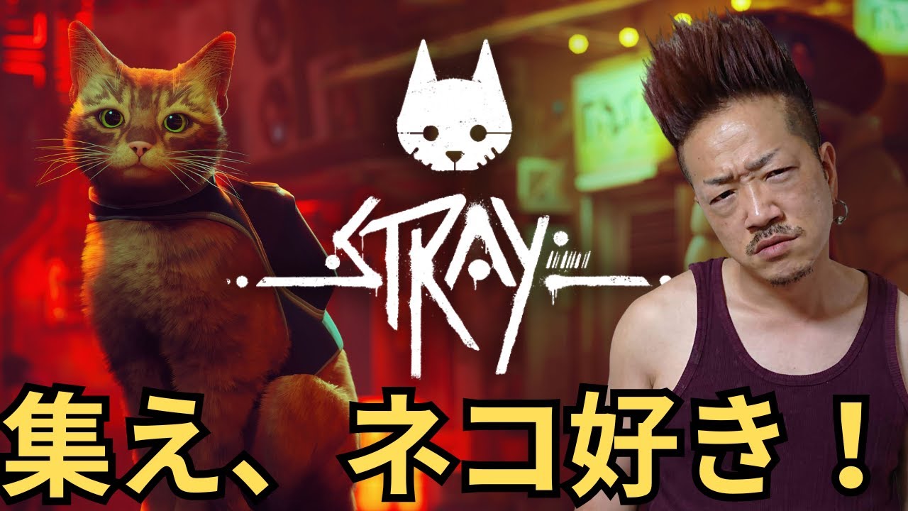 猫は好きですか？【STRAY】#迷い猫 #STRAY #脱出 #猫 #ネコ #野良猫 #PS4 #PS5