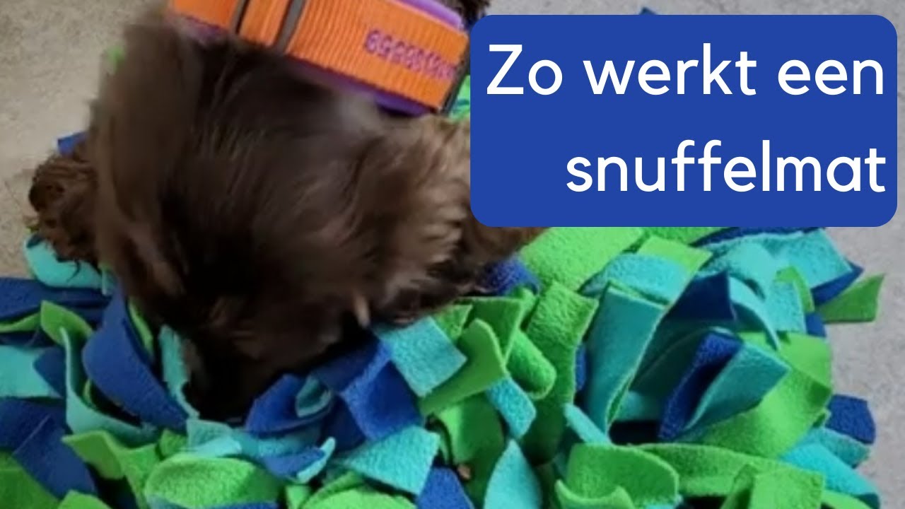 Zo werkt een snuffelmat. Met stap voor stap uitleg.