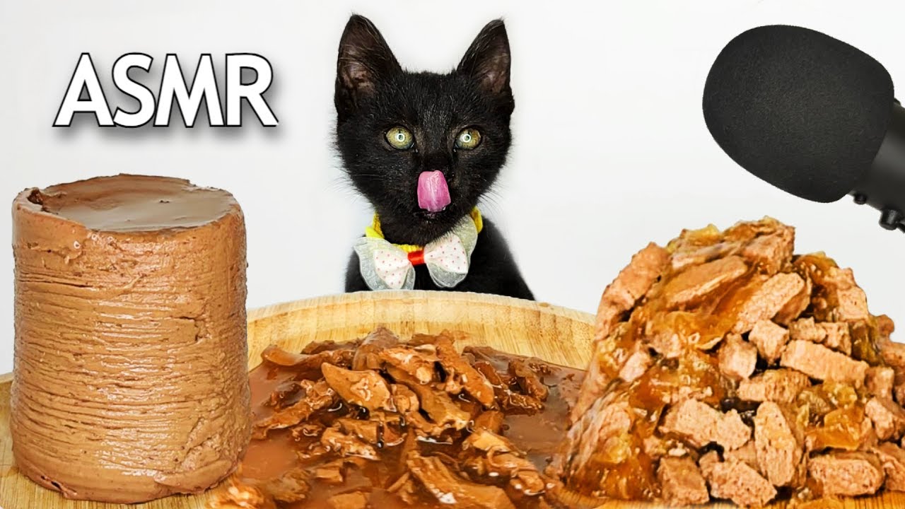 CAT EATING WET FOOD COMPILATION | ASMR MUKBANG