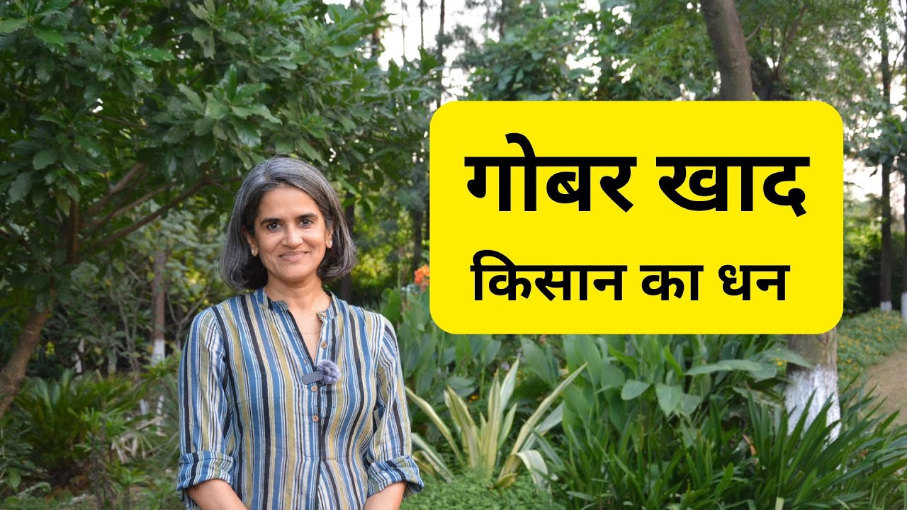 Wealth of Cow Manure | गोवर - किसान का धन