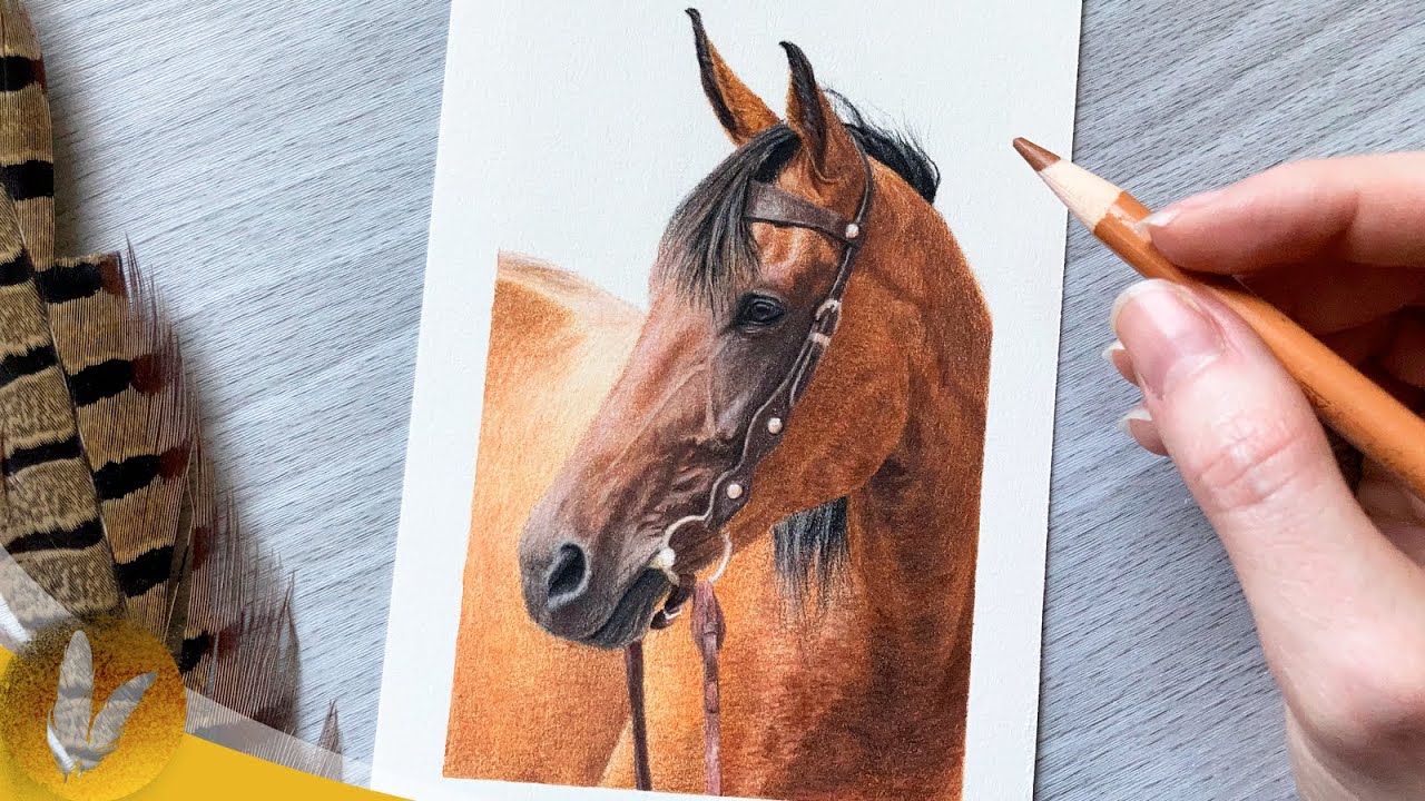 Drawing A Horse With Colored Pencils | Colored Pencil Tutorial For Beginners