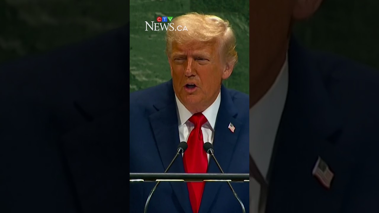 Your countries are going to hell': Trump tells Europe to end mass migration