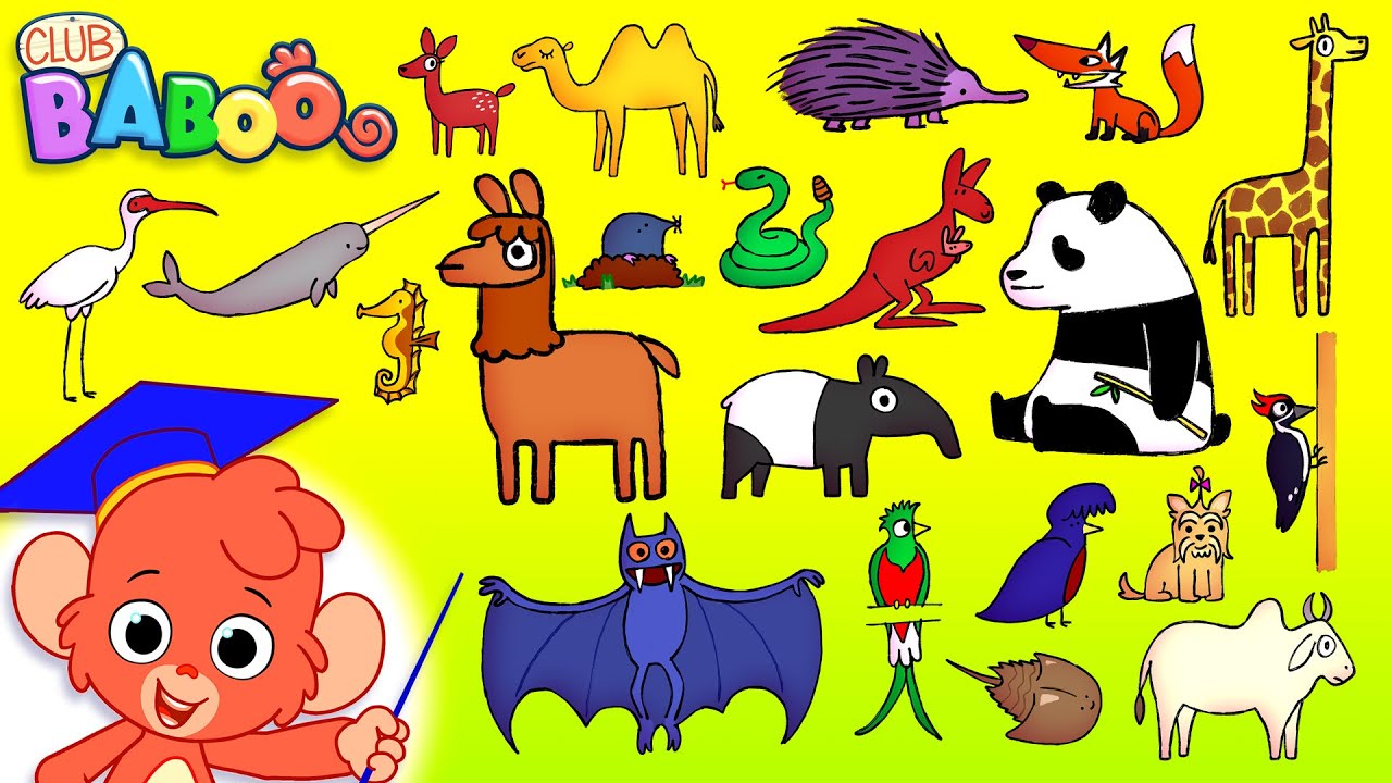 Animal ABC | Learn the Alphabet with 26 CARTOON ANIMALS for kids | ABCD Wild Animals and Sounds 4K