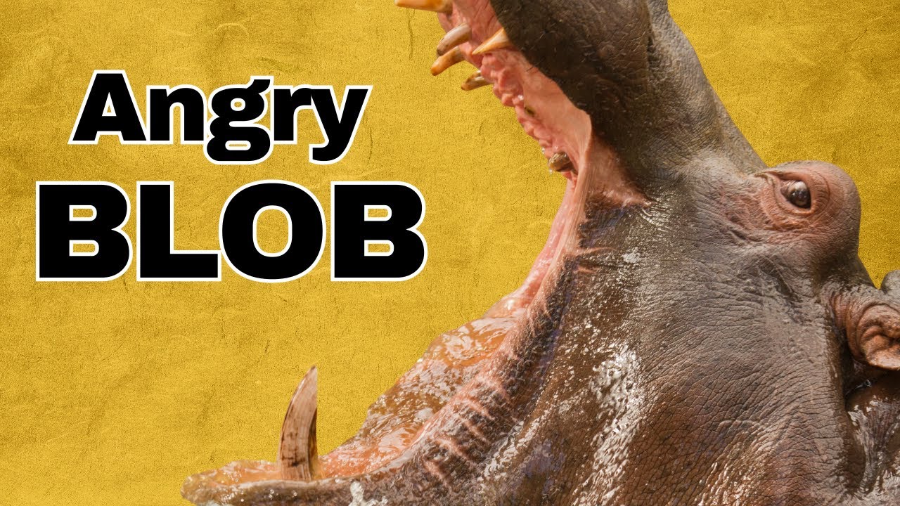 Why it sucks to be a hippo