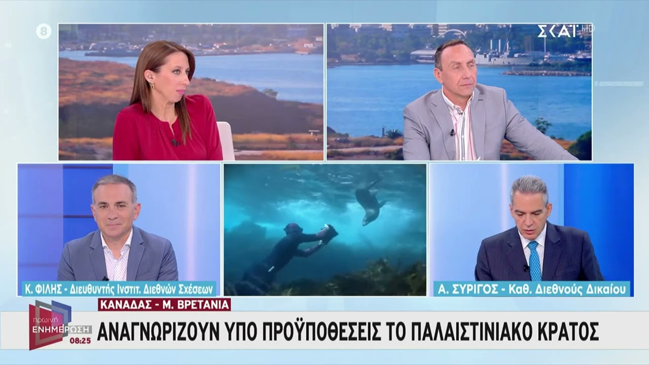 Συρίγος: Η αναγνώριση του Παλαιστινιακού κράτους ασκεί πίεση στο να βρεθεί μία λύση | ΣΚΑΪ