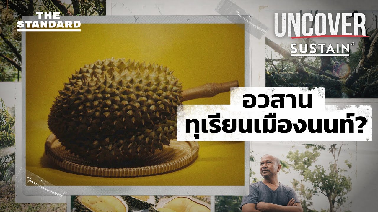 เมื่อ ทุเรียนนนท์ กำลังจะถึงคราวอวสาน | UNCOVER: Our House is on Fire #3 | THE STANDARD