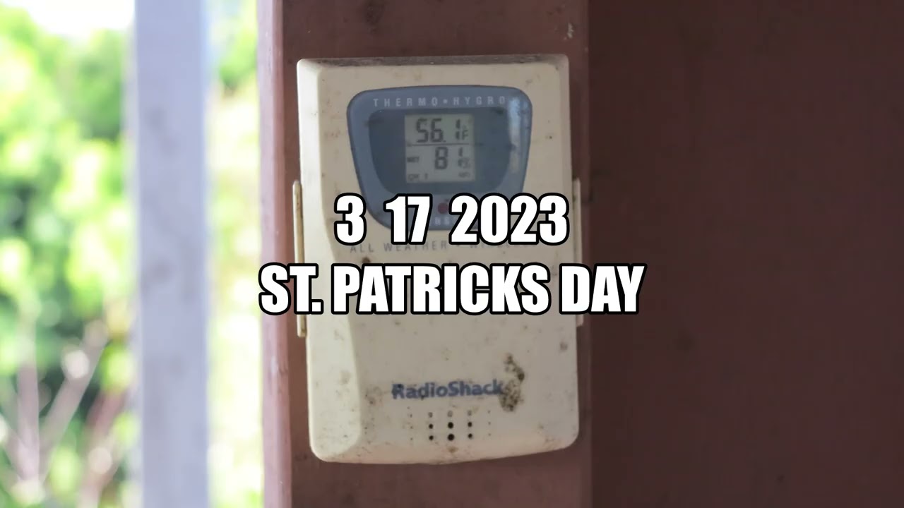 WINTER CANNABIS - ST PATRICKS DAY 2023
