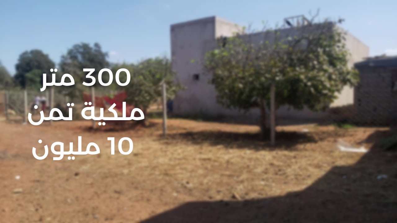 بين سلا والقنيطرة سيدي طيبي 300 متر ملكية تمن 10 مليون قابلة التفاوض 212661247058