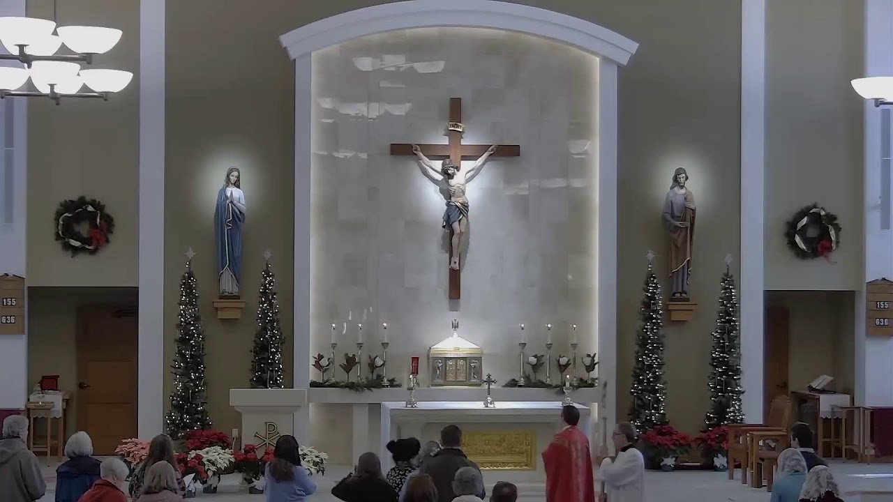 St. Francis of Assisi: Holy Mass (Tuesday, January 20th, 8am)