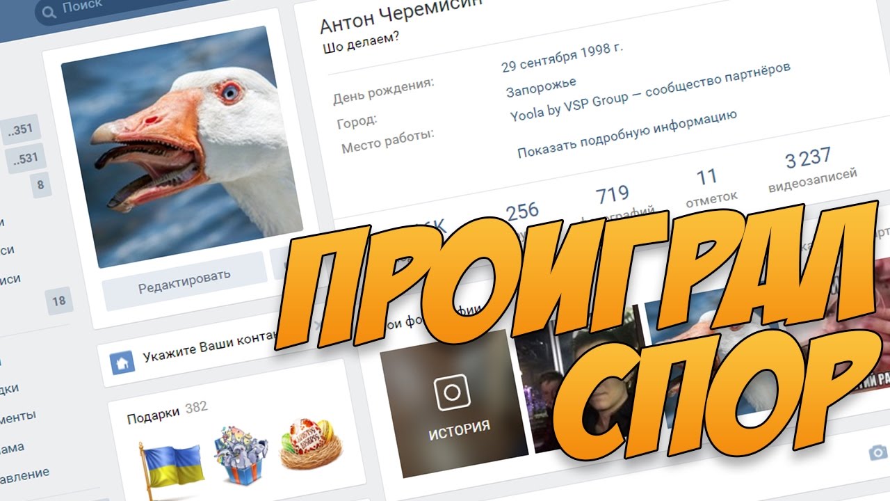 ПРОИГРАЛ СПОР ПОСТАВИЛ ГУСЯ НА АВАТАРКУ ВКОНТАКТЕ - TRICKY TOWERS