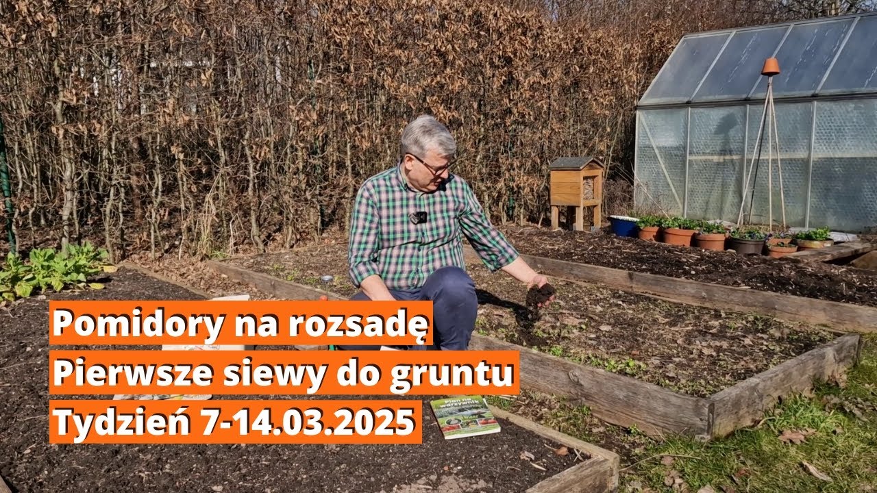 Siejemy pomidory na rozsadę oraz pierwsze siewy do gruntu. Drugi tydzień marca 2025 w ogrodzie.
