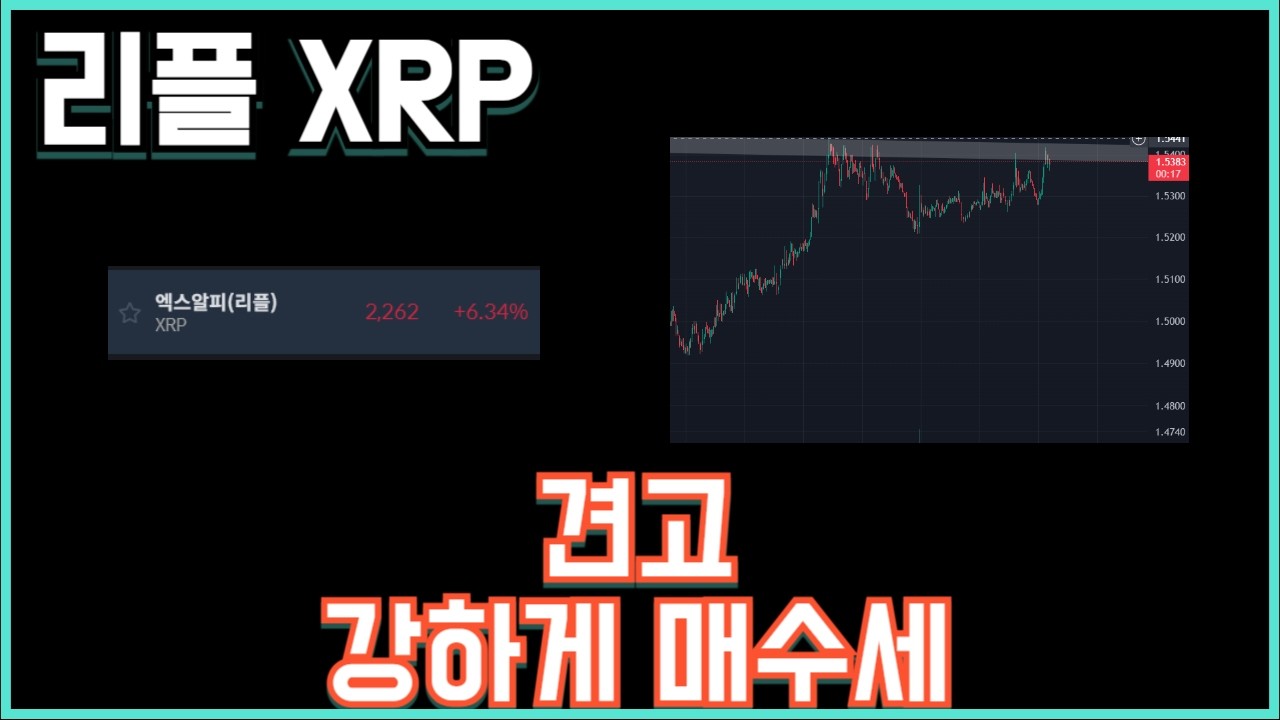 리플 XRP 견고 강하게 매수세