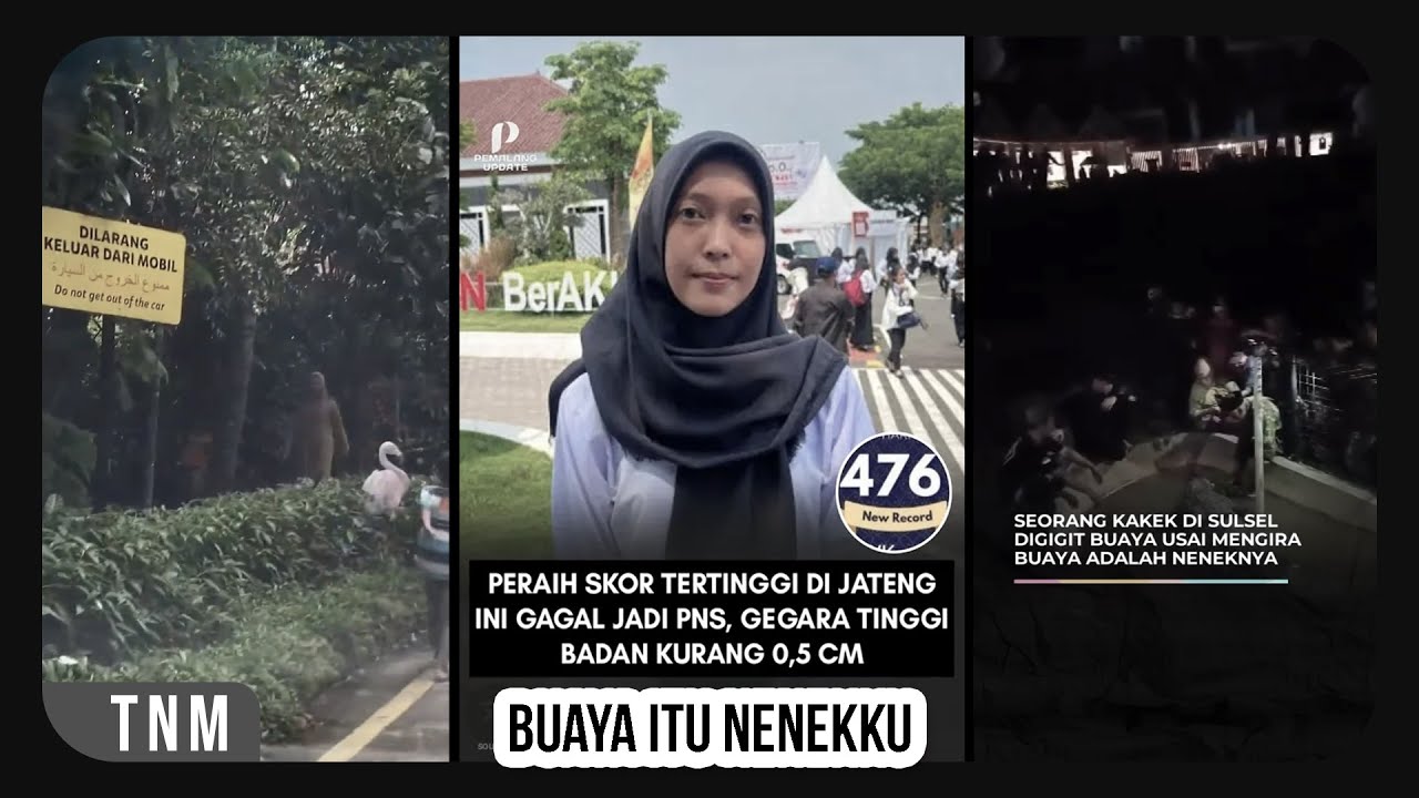 nenekku buaya