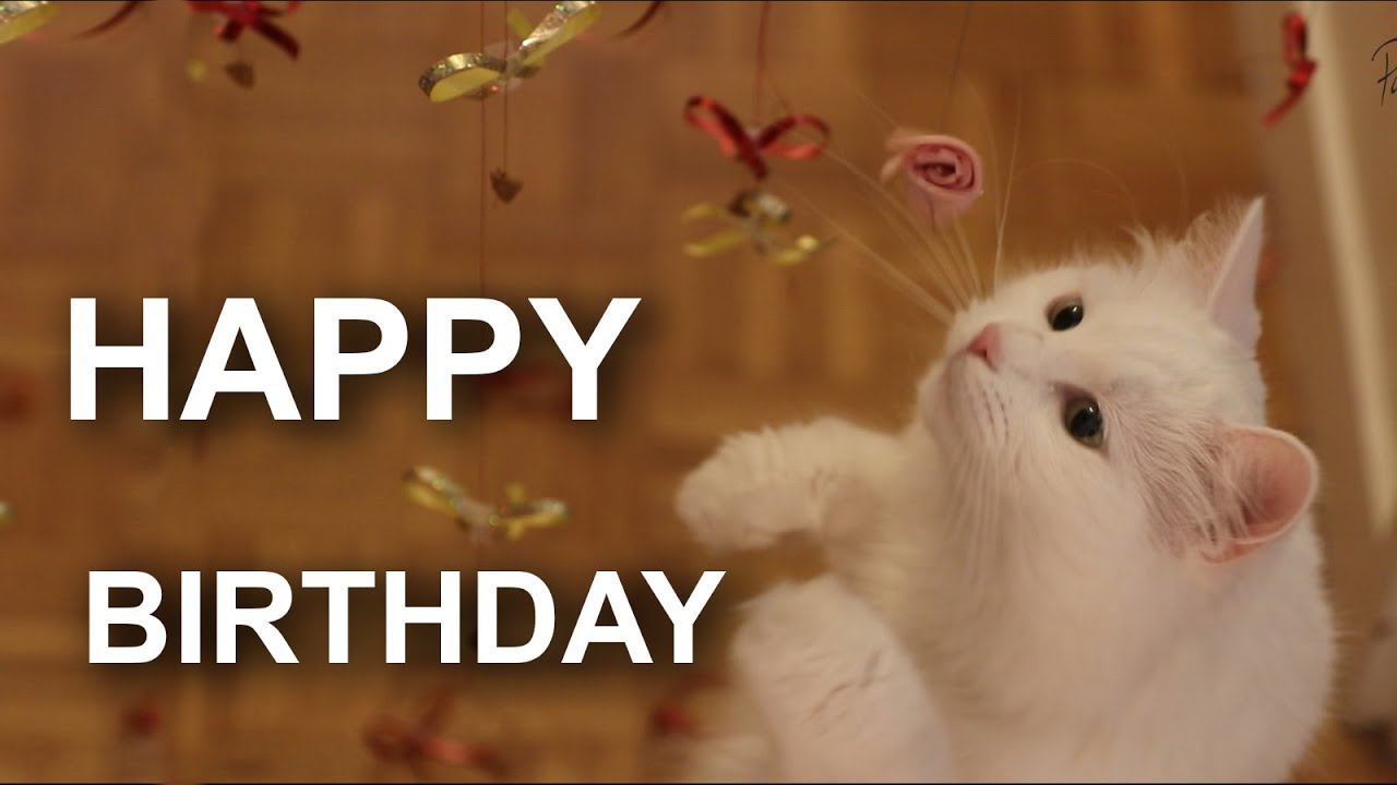 HAPPY BIRTHDAY PLUME - 130 CROQUETTES SUSPENDUES