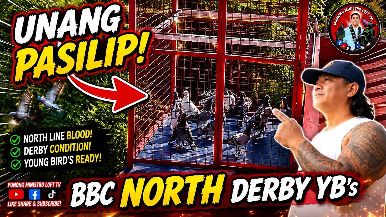 EP1222 BAGUNG KALAPATI SA LOFT PANG BBCNE NORTH DERBY!