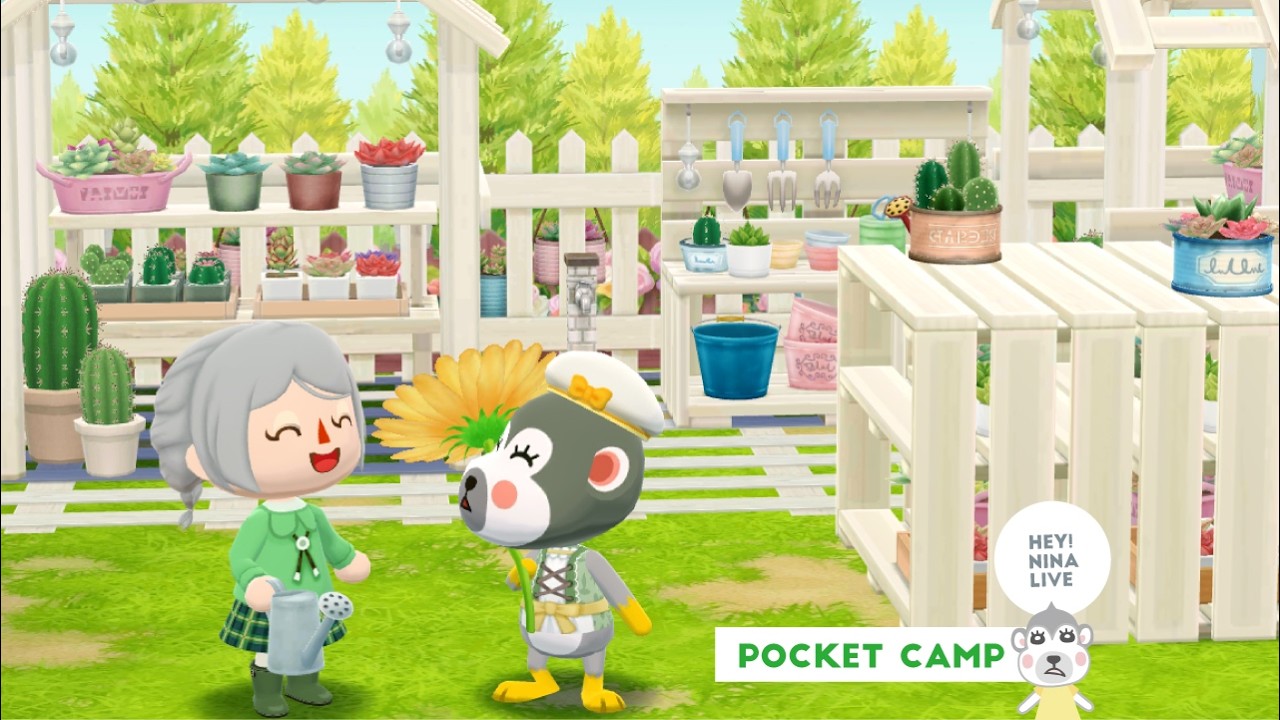 【ポケ森配信】3月のキャンプ場レイアウトをしてみる🌼🌷