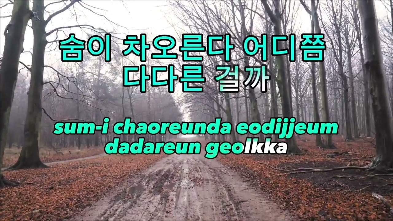 Karaoke Wave To Earth - Black Mountain (한국 & Romanize)
