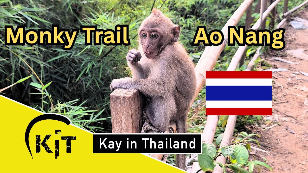 Monky Trail Abenteuer in Ao Nang, Krabi! 🐒🏞️🐒