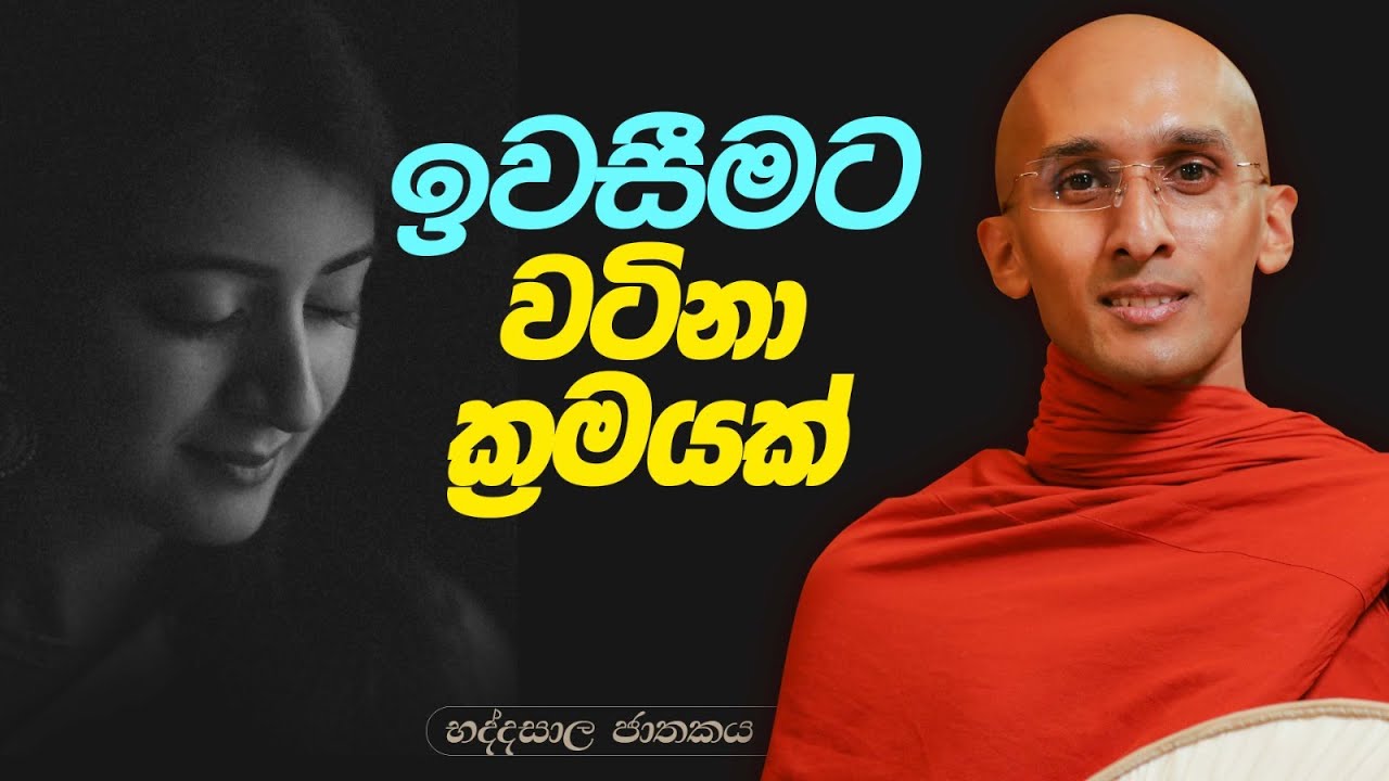 249. ඉවසීමට වටිනා ක්‍රමයක් | භද්දසාල ජාතකය | 2024-02-01