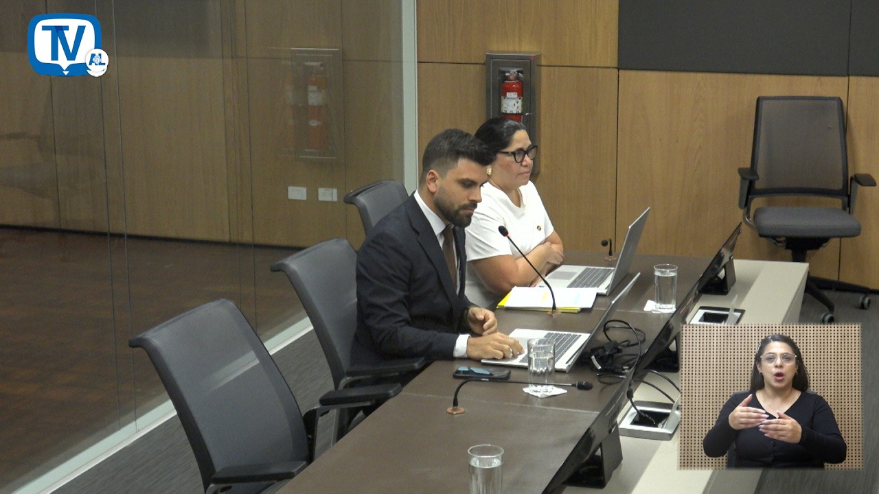 Analizan crédito por 800 millones de dólares para el tren rápido de pasajeros
