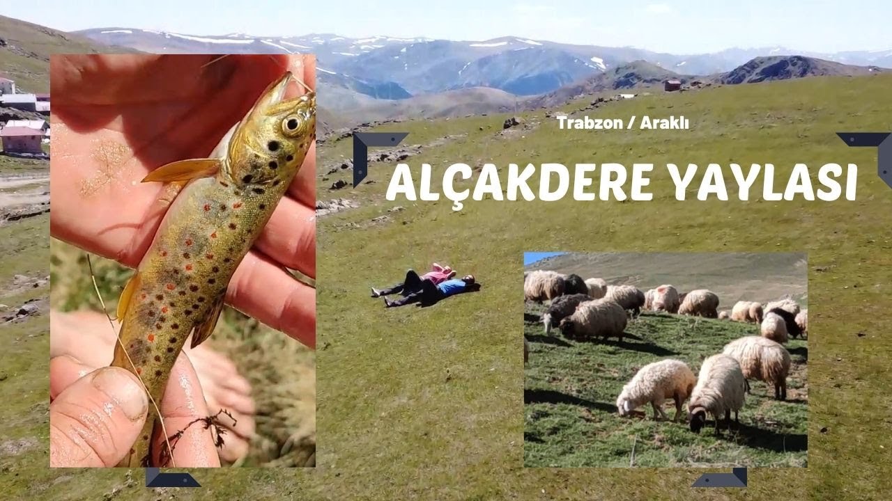 ALÇAKDERE YAYLASI