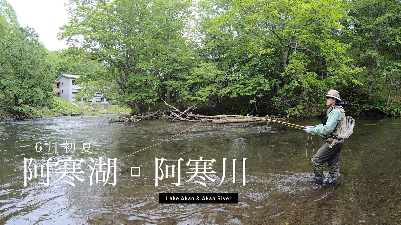 【北海道フライフィッシング】2025年6月阿寒湖と阿寒川