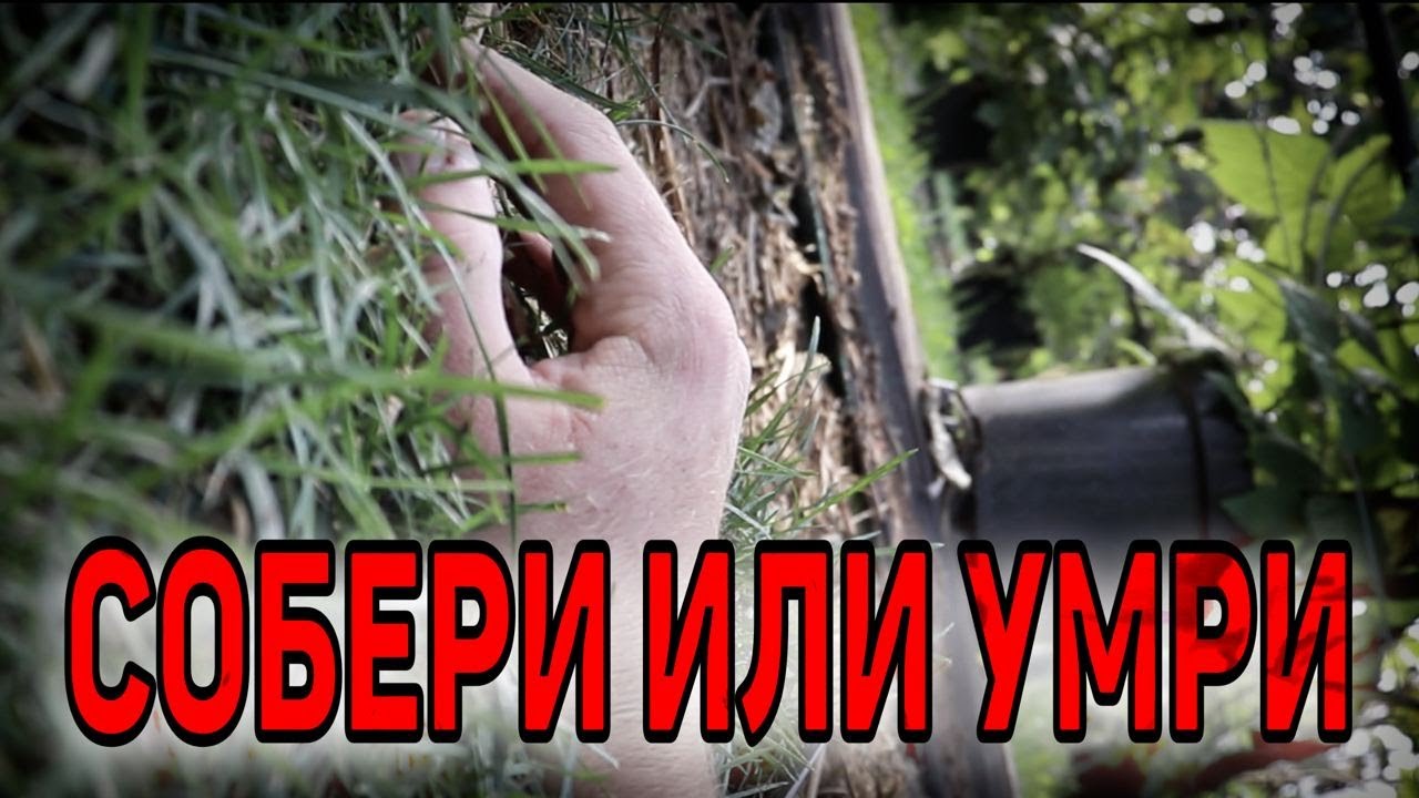 КОРОТКОМЕТРАЖНЫЙ ФИЛЬМ 