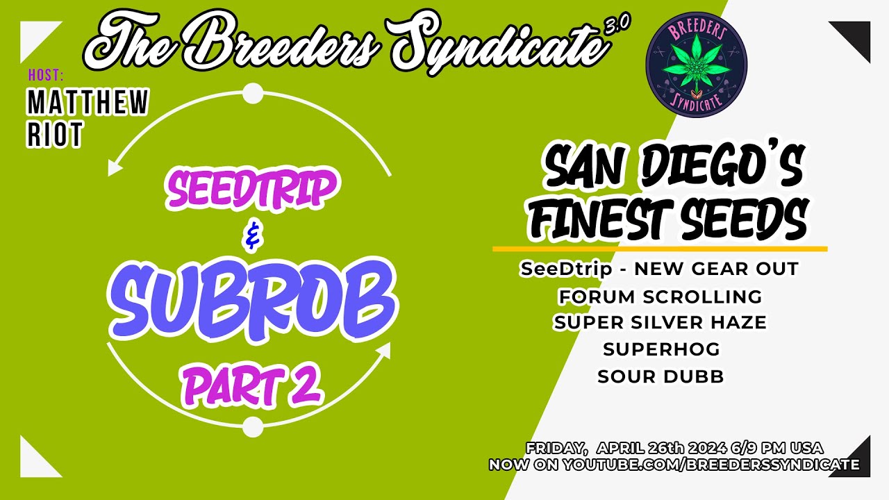 San Diego's Finest Seeds Pt2 With SeeDtrip Subrob ICMag Forum SSH Haze Superhog Master Kush S11 E05