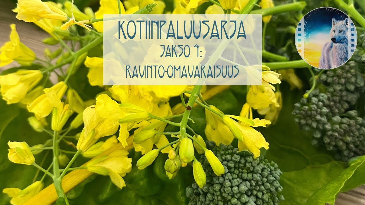 Kotiinpaluusarja, jakso 4: Ravinto-omavaraisuus