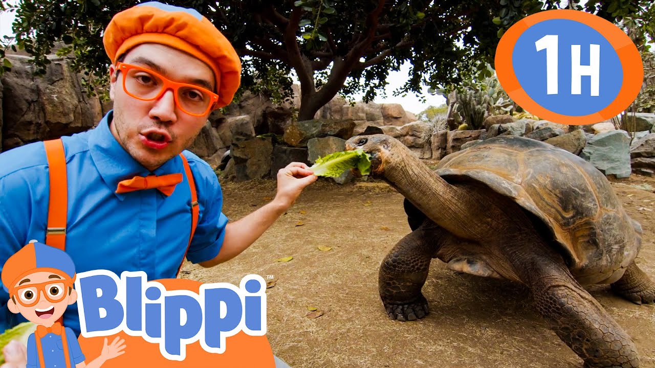 San Diego Zoo Part 3 | Blippi | Kids Songs | Moonbug Kids