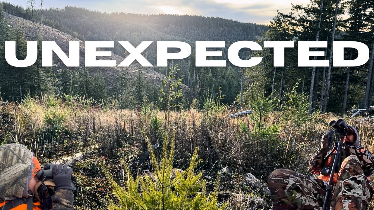 Охота на чернохвостого оленя в Западном Вашингтоне, 2025 (Не ожидал!!!)