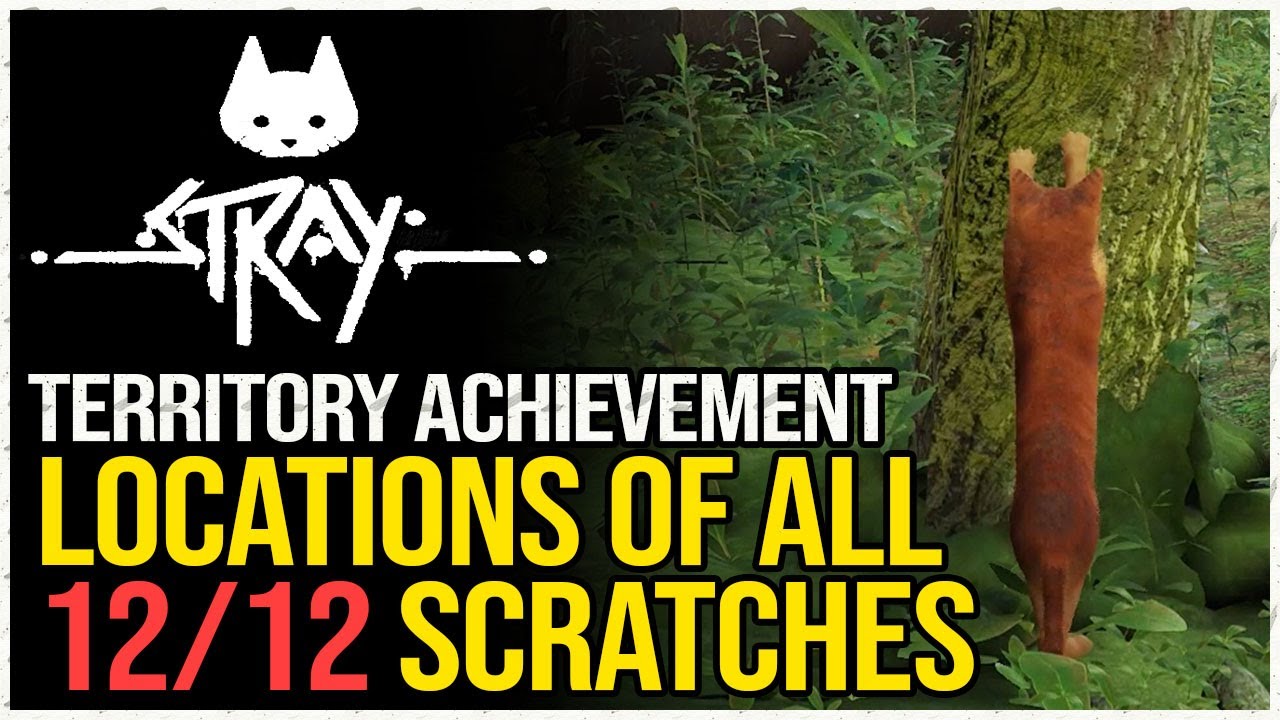 Stray All Scratch Locations (Territory Achievement)