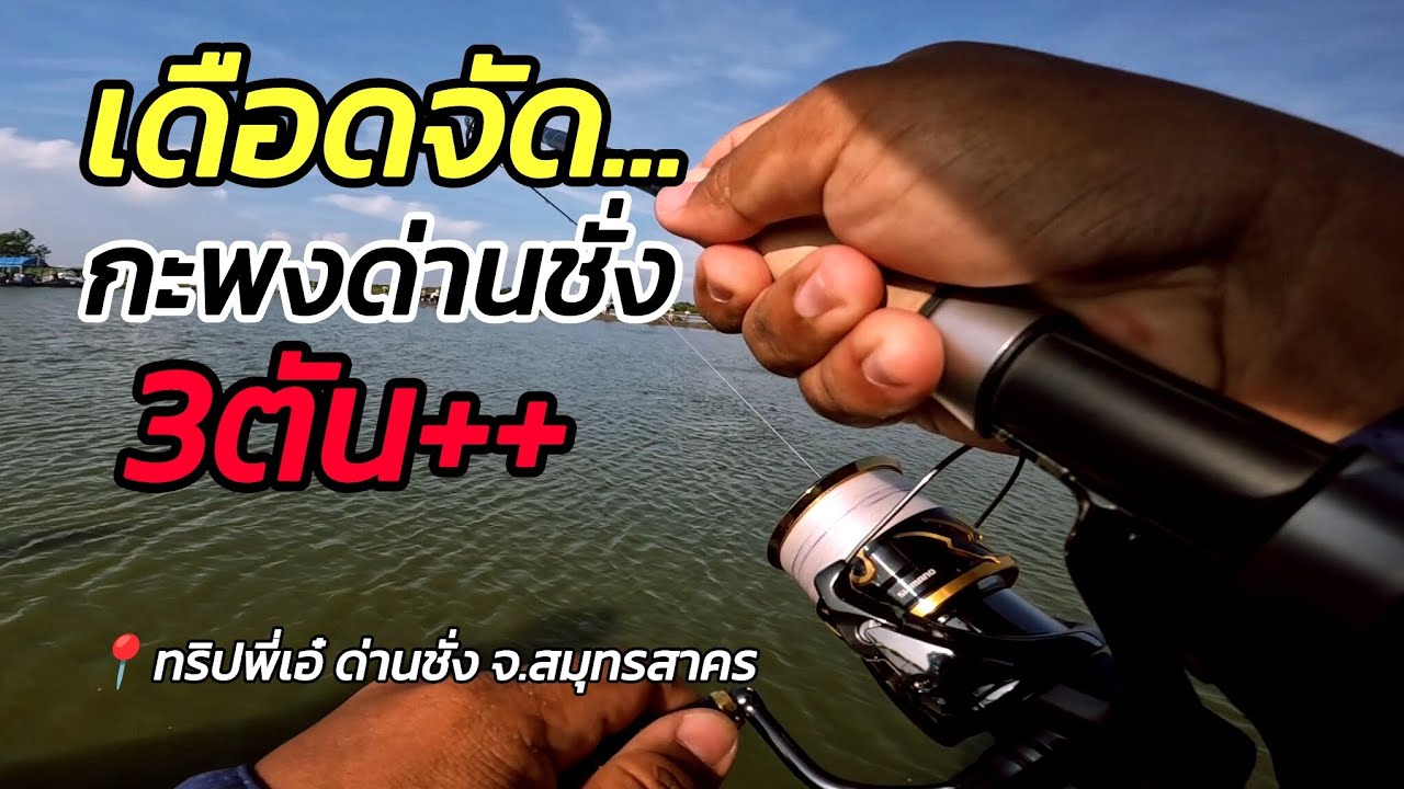 น้ำเดือด2ชั่วโมงกว่า จะมันส์แค่ไหน...?| กะพงบุพเฟต์ด่านชั่ง สมุทรสาคร | 19/10/25