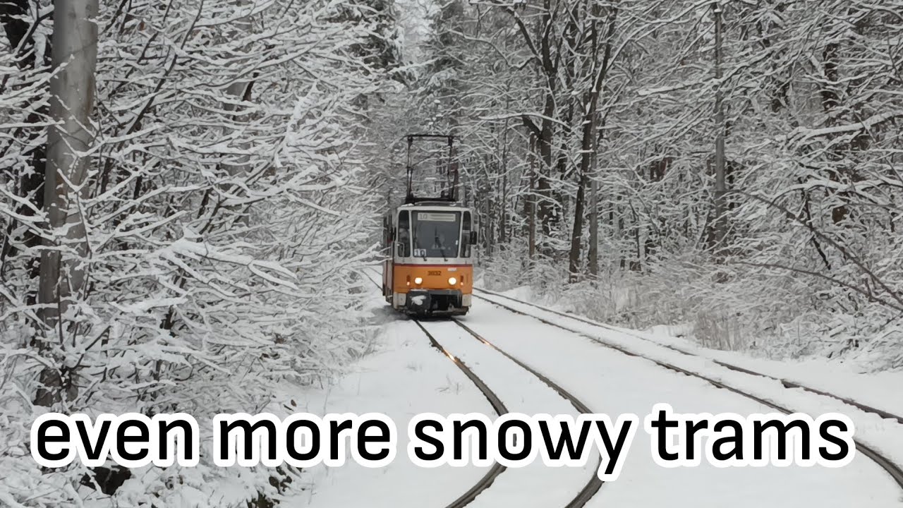 Even more snowy trams in sofia