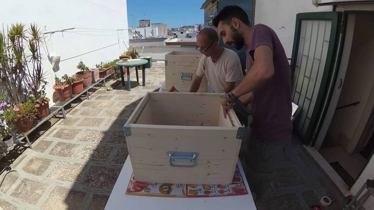 Montaggio e verniciatura arnia in kit