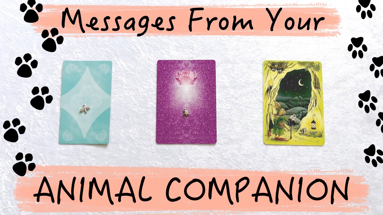 Messages From Your Animal Companion ~ Pick a card Animal Psychic Reading 🐈🐕🐇🐎🦜